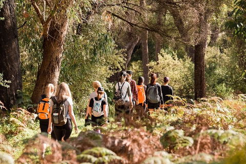 Half-Day Yanchep Ghost House Wilderness Guided Hike Tour - Holiday Byron Bay 0