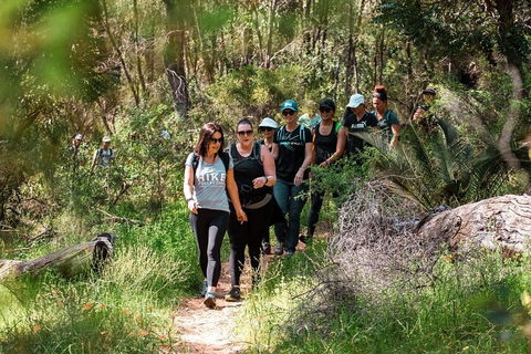 Half-Day Yanchep Ghost House Wilderness Guided Hike Tour - Holiday Byron Bay 3