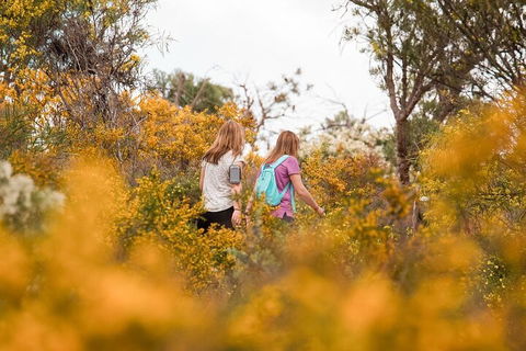 Half-Day Yanchep Ghost House Wilderness Guided Hike Tour - Holiday Byron Bay 4