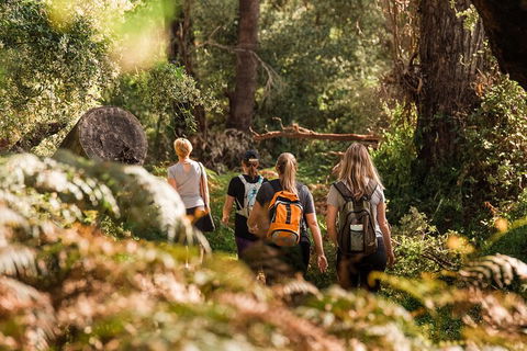 Half-Day Yanchep Ghost House Wilderness Guided Hike Tour - Holiday Byron Bay 5