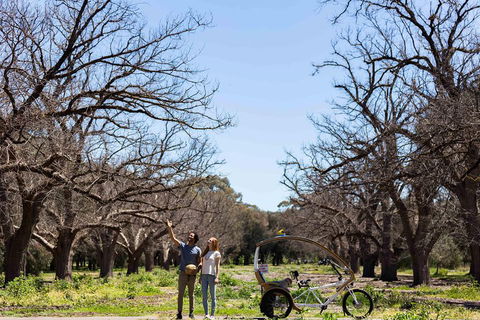 Adelaide 90-Minute Pedicab Tour: Scenic Green & River Experience - Holiday Byron Bay 1