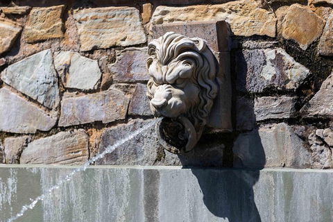 Adelaide 90-Minute Pedicab Tour: Scenic Green & River Experience - Holiday Byron Bay 3