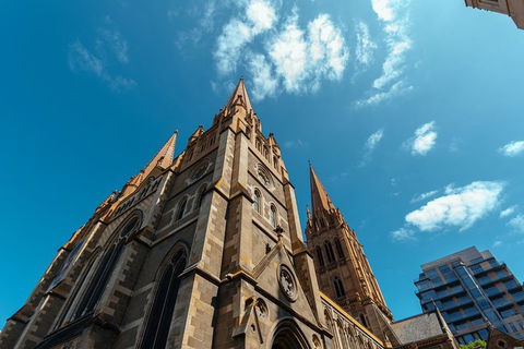 Highlights & Hidden Gems With Locals: Best Of Melbourne Private Tour - Holiday Byron Bay 4