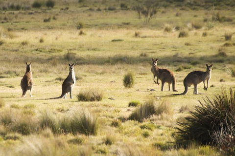 From The Mountains To The Bay - 4 Day Rediscovery Small Group Tour - Holiday Byron Bay 4