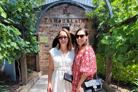 Hideaway Private Tours Hunter Valley- Indulgence Wine Tour (Full Day) - Holiday Byron Bay 5