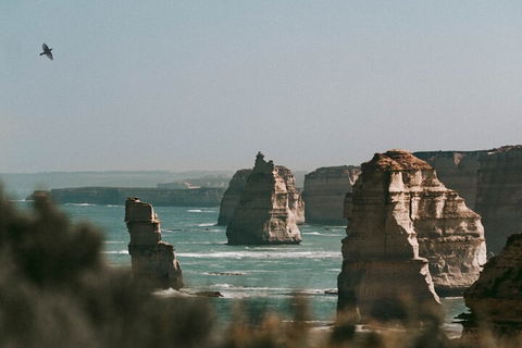 Half-Day Or Full-Day Tour With Private Guide From Melbourne - Holiday Byron Bay 0