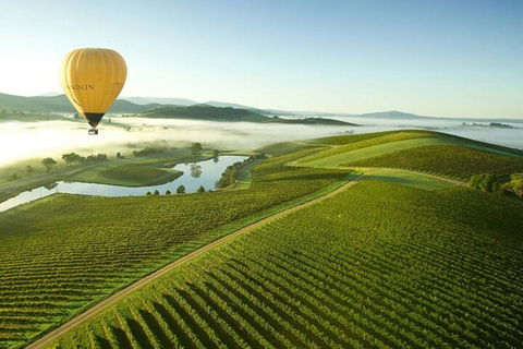 Half-Day Or Full-Day Tour With Private Guide From Melbourne - Holiday Byron Bay 4