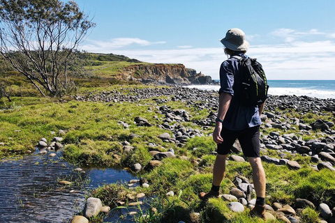 Half Day Guided Small Group Walk - Holiday Byron Bay 0