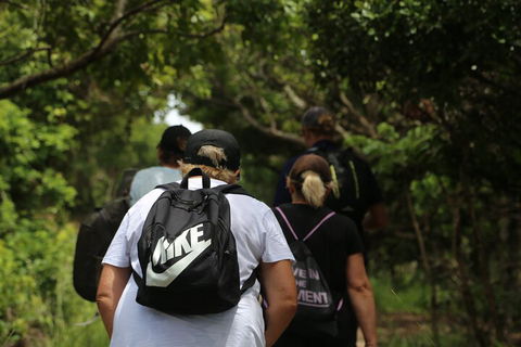 Half Day Guided Small Group Walk - Holiday Byron Bay 4
