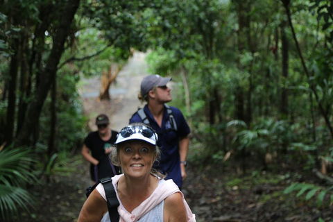 Half Day Guided Small Group Walk - Holiday Byron Bay 5