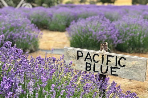 Kangaroo Island Food And Wine Trail Tour - Holiday Byron Bay 0