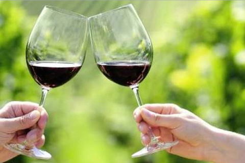 Yarra Valley Premium Tour Inc Lunch And Cheese And Wine Pairing At De Bortoli - Holiday Byron Bay 5