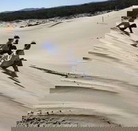 Port Stephens Bush Beach and Sand Dune 4WD Tag-Along Tour - Holiday Byron Bay