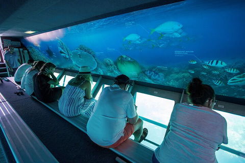 Great Barrier Reef Day Cruise To Reefworld - Holiday Byron Bay 0