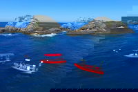 3-Hour Byron Bay Certified Scuba Diving Tour