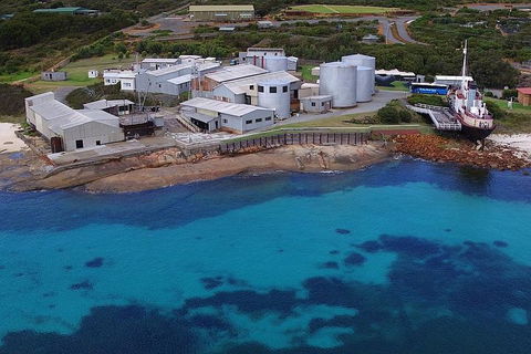 Albany's Whale Story - Holiday Byron Bay 4