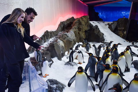 Penguin Passport At SEA LIFE Melbourne Aquarium - Holiday Byron Bay 0