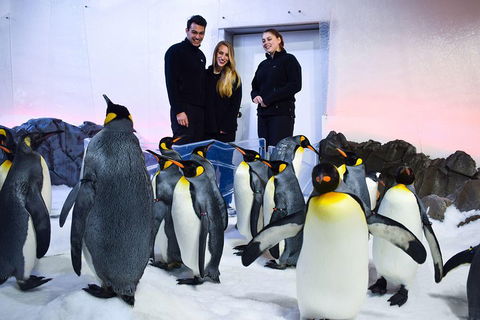 Penguin Passport At SEA LIFE Melbourne Aquarium - Holiday Byron Bay 4
