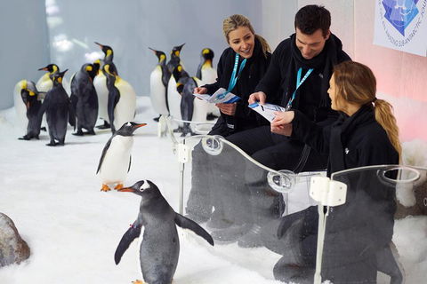 Penguin Passport At SEA LIFE Melbourne Aquarium - Holiday Byron Bay 5