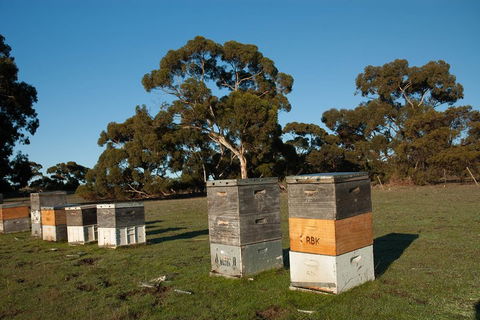 Fine Flavours - Full Day Kangaroo Island Food & Wine Tour - Holiday Byron Bay 1