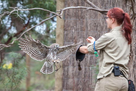 Moonlit Sanctuary Wildlife Conservation Park Daytime General Entry Ticket - Holiday Byron Bay 1