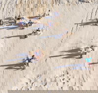 Unlimited Sandboarding - Holiday Byron Bay