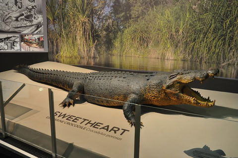 Explore Darwin City Sights Including Key Attractions - Holiday Byron Bay 2