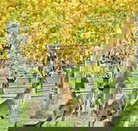 Margaret River Indulge and Discover Day Tour - Holiday Byron Bay