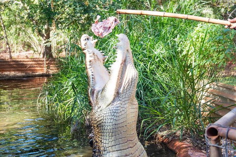 3 In 1 Tour: Matsoâ€™s Brewery, Broome Museum & Malcolm Douglas Crocodile Park - Holiday Byron Bay 3