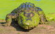 3 In 1 Tour: Matsoâ€™s Brewery, Broome Museum & Malcolm Douglas Crocodile Park - thumb 4