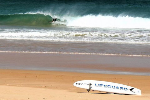Half Day Manly Beach And More - Holiday Byron Bay 5