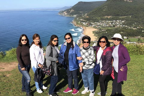 Private Grand Pacific Drive And Southern Highlands Tour - Holiday Byron Bay 3