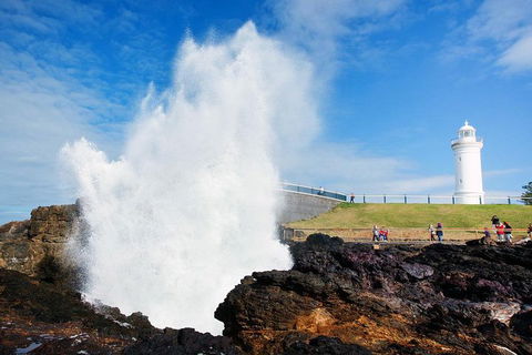 Private Grand Pacific Drive And Southern Highlands Tour - Holiday Byron Bay 4