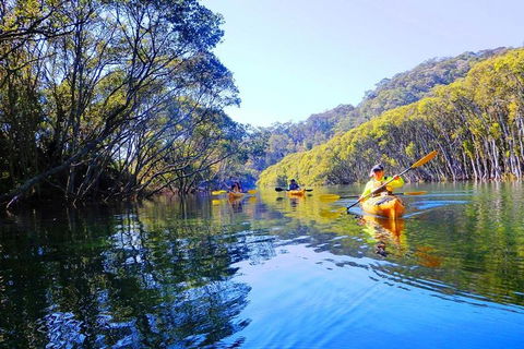 Half-Day Sydney Middle Harbour Guided Kayaking Eco Tour - Holiday Byron Bay 1
