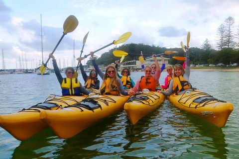 Half-Day Sydney Middle Harbour Guided Kayaking Eco Tour - Holiday Byron Bay 2