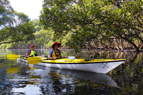 Half-Day Sydney Middle Harbour Guided Kayaking Eco Tour - Holiday Byron Bay 3
