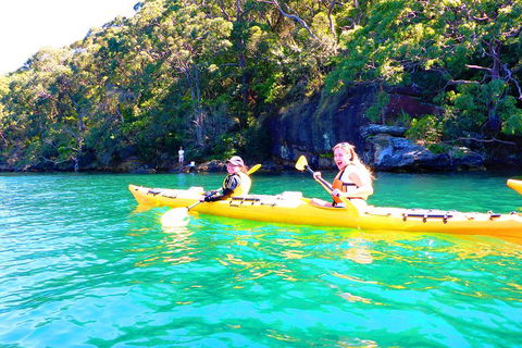 Half-Day Sydney Middle Harbour Guided Kayaking Eco Tour - Holiday Byron Bay 4