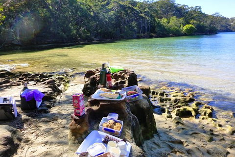 Half-Day Sydney Middle Harbour Guided Kayaking Eco Tour - Holiday Byron Bay 5