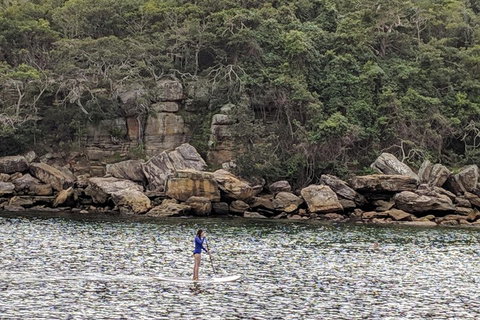 Manly & Sydney's Northern Beaches With 'Personalised Sydney Tours' - Holiday Byron Bay 3