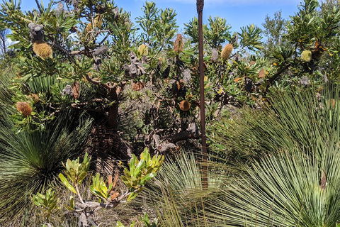 Australian Wildlife & Waterfalls Private Tour With 'Personalised Sydney Tours' - Holiday Byron Bay 1
