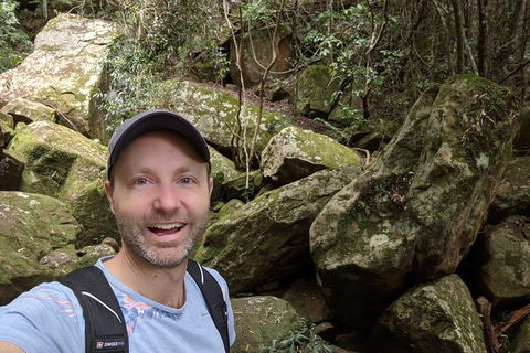 Australian Wildlife & Waterfalls Private Tour With 'Personalised Sydney Tours' - Holiday Byron Bay 4