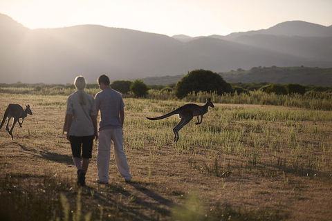 Overnight Daylesford And Macedon Ranges Gourmet Food Trail Tour From Melbourne - Holiday Byron Bay 1