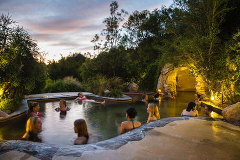 Peninsula Hot Springs & Wine Tasting - Day Tour - Holiday Byron Bay 3