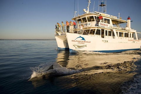 Jervis Bay Dolphin Watch Cruise - Holiday Byron Bay 3
