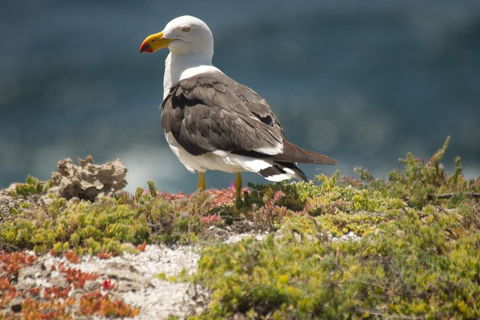 From The Mountains To The Bay - 4 Day Rediscovery Small Group Tour - Holiday Byron Bay 1