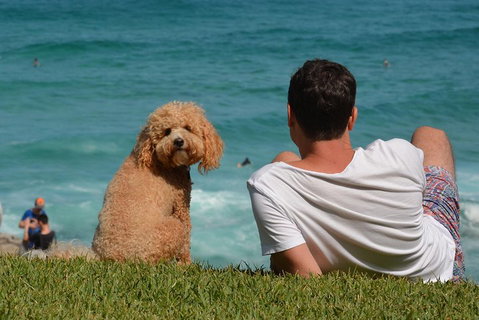 See Sydney With A Local: Private & Personalized - Holiday Byron Bay 5