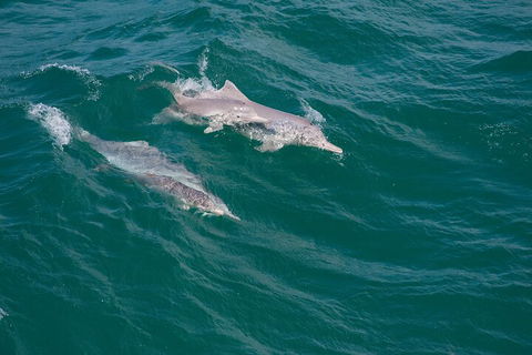 North Stradbroke Island Private Tour With Pickup - Holiday Byron Bay 0