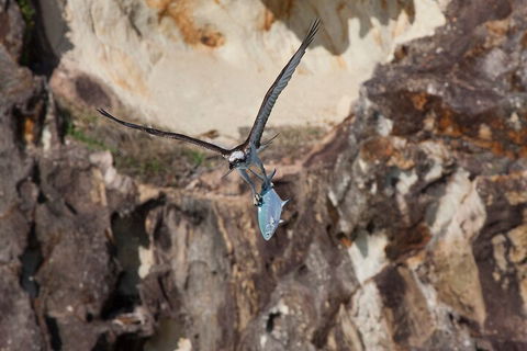 North Stradbroke Island Private Tour With Pickup - Holiday Byron Bay 2