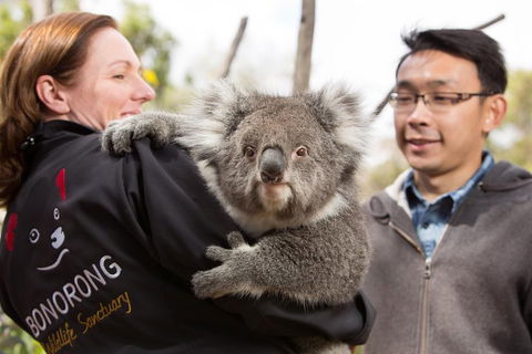 Bonorong Wildlife Park And Richmond Afternoon Tour From Hobart - Holiday Byron Bay 0