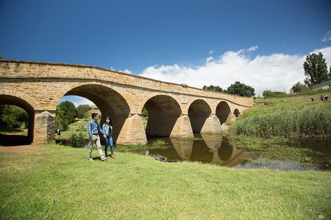 Bonorong Wildlife Park And Richmond Afternoon Tour From Hobart - Holiday Byron Bay 2